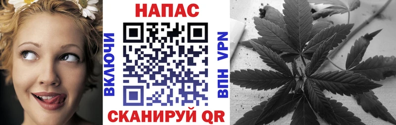 блэк спрут   Серафимович  Каннабис тримм 